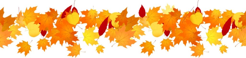 Fall Leaves Banner